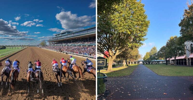 The World’s Best Racehorses Are Coming To Kentucky This Month, And You Can Watch Them In Person