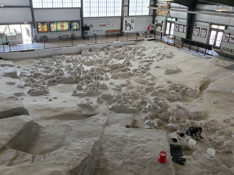 What Most Nebraskans Get Wrong About Ashfall Is That The Digging Still Happens Every Summer