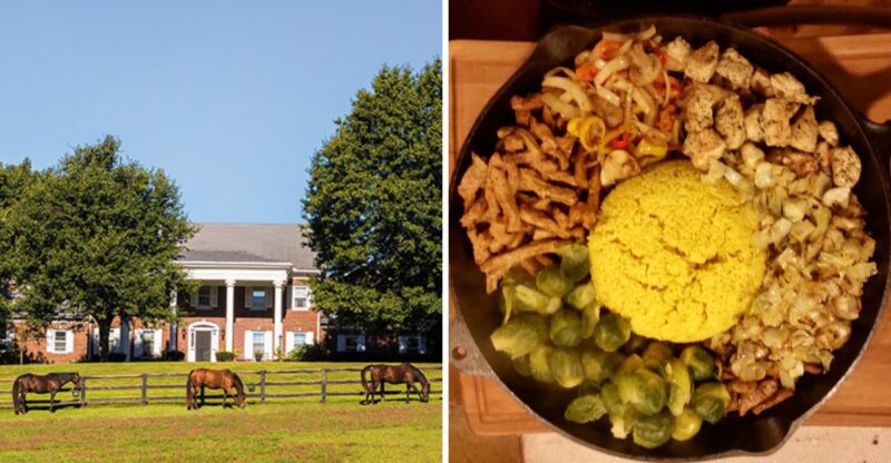 10 Kentucky Farms Where You Can Wake Up To Horses, Goats, And A Country Breakfast