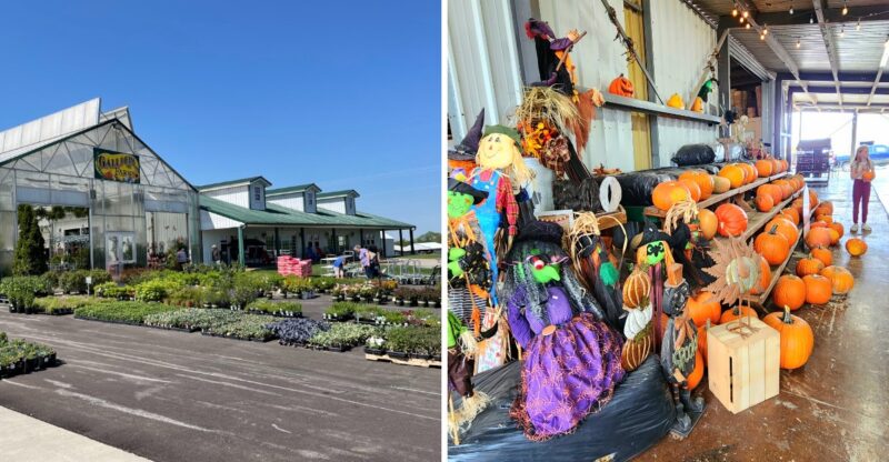 Everyone Shops At Kroger, But This Affordable Kentucky Farm Market Sells Produce Picked Fresh From Its Own Fields Every Day
