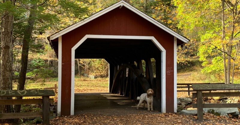 10 Lesser-Known State Parks In Connecticut With Stunning Fall Foliage