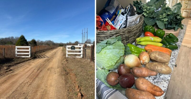 This Rural Georgia Farm Market Still Sells Bags Of Fresh Produce For Just $10