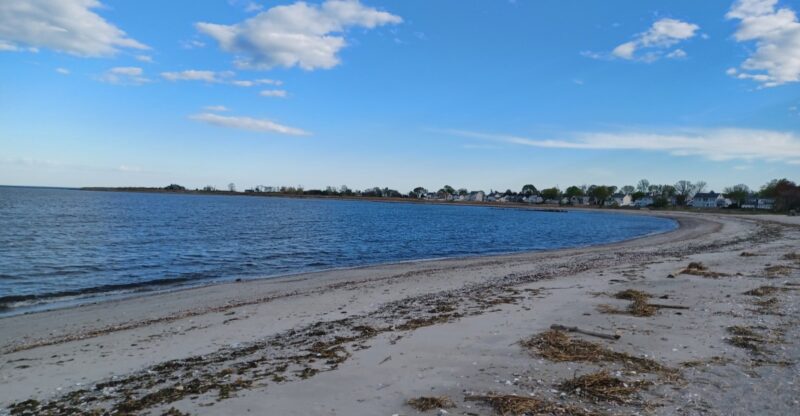 10 Beaches On The Connecticut Coast Where Jellyfish Can Be A Concern