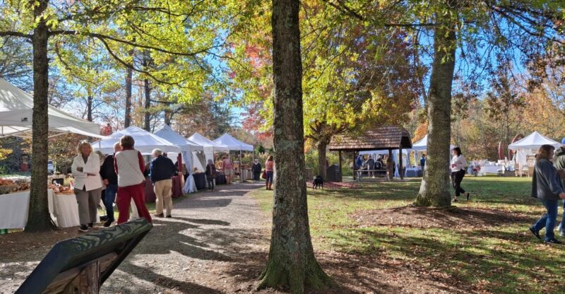This Tiny North Carolina Mountain Town Knows Exactly When To Throw Its Biggest Fall Festival