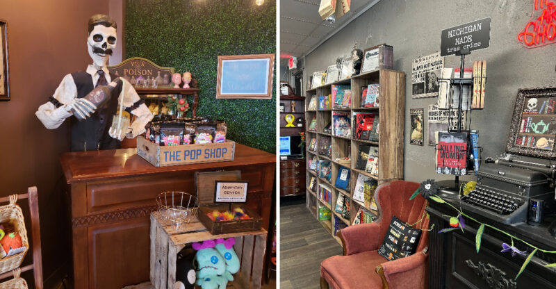 This Quirky Lansing, Michigan Bookstore Has Shop Cats, True Crime Books, And Live Spiders