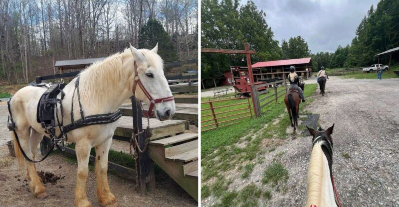 The Georgia Ranch Where You Can Ride Through 140 Acres Of Beautiful Mountain Countryside