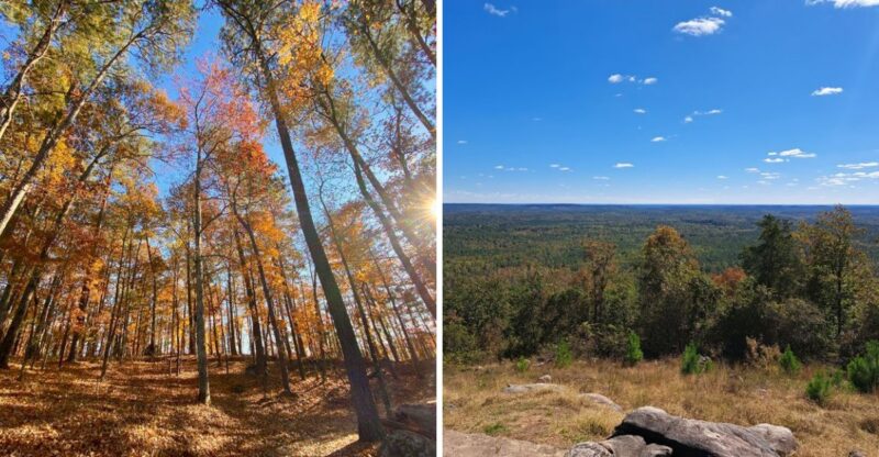 Georgia’s Fall Foliage Is Reaching Its Peak And These Are 10 Scenic Places To See It