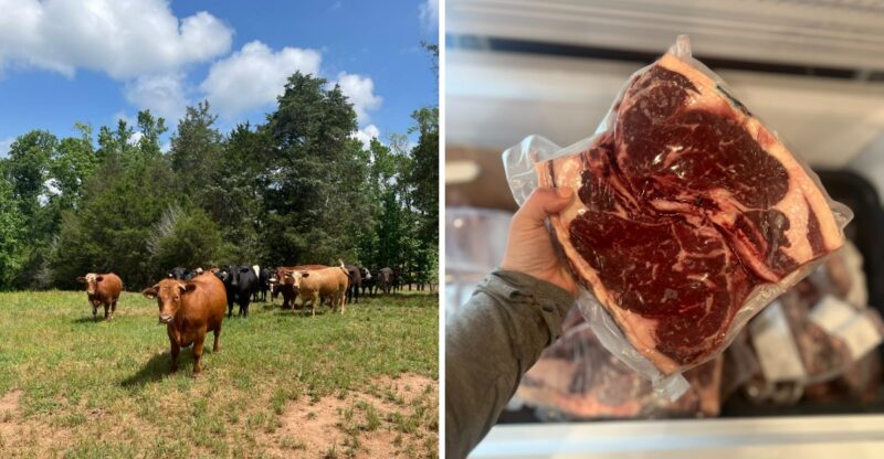 Skip The Grocery Store: These 9 Georgia Farms Offer Locally Raised Beef To Take Home
