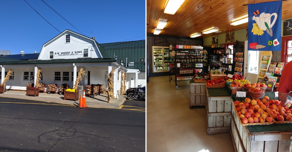 featured image cfb1de88ff2f 5caca39640f8 - Decor Hint