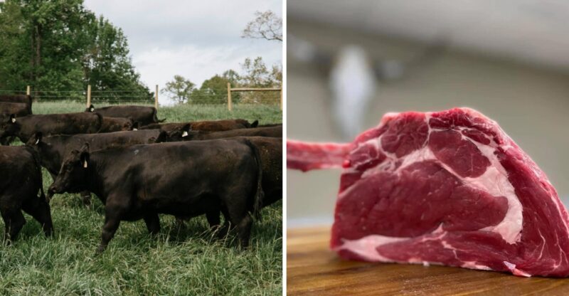 The 8 Georgia Butcher Shops And Farms Where Shoppers Can Save By Buying Meat In Bulk