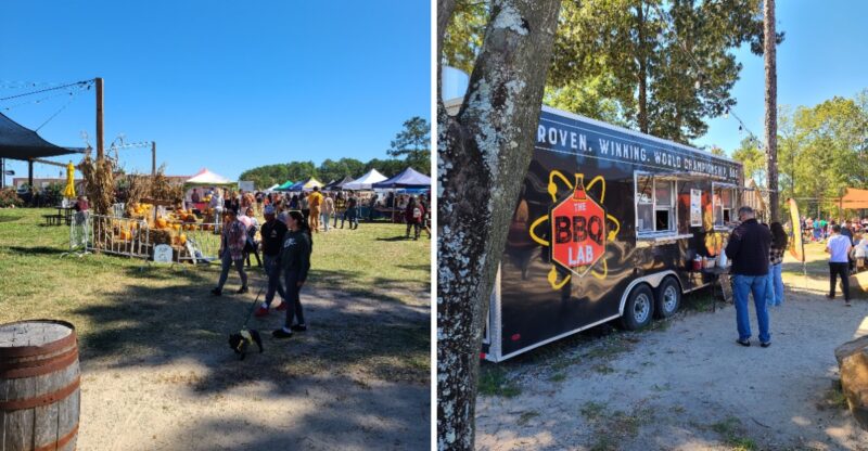 This North Carolina Festival Lets You Sample Up To 7 Grilled Cheese Sandwiches And Help Crown The Ultimate Champion
