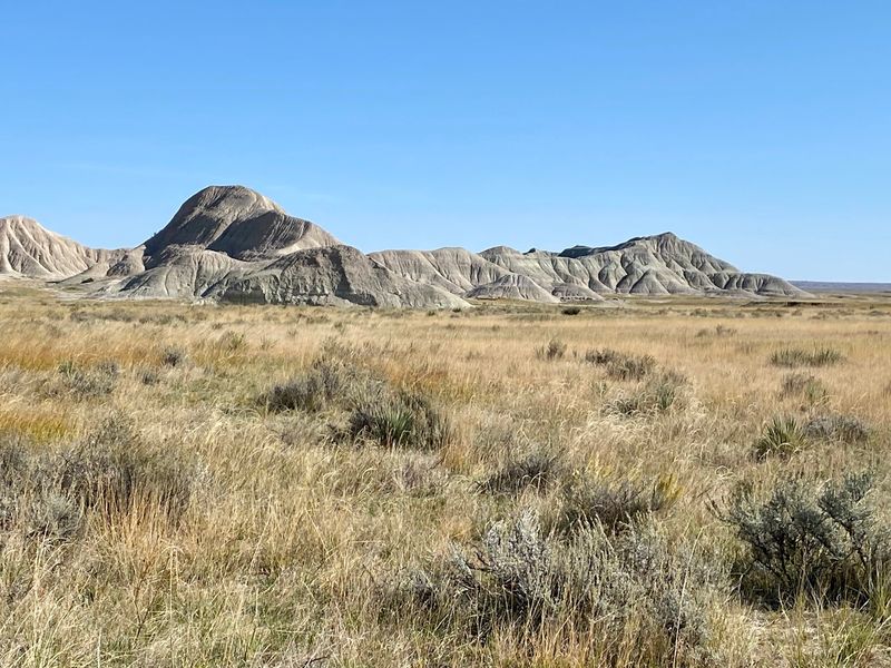 Hidden In Nebraska’s Grasslands Are Rare Agates That Rock Hunters Treasure