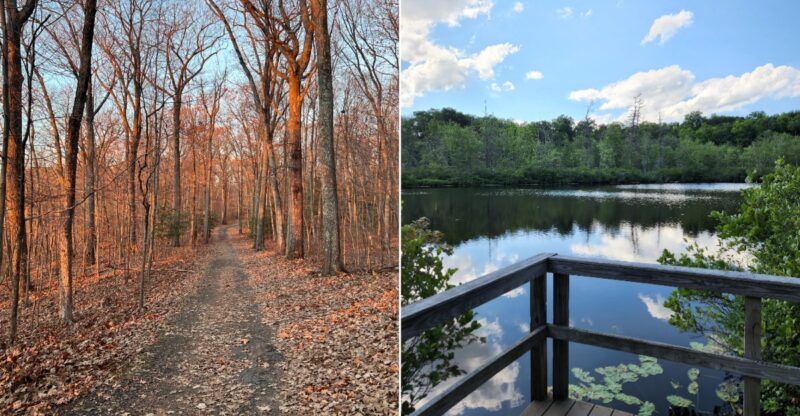 This Nearly 800-Acre Connecticut State Park Feels Almost Completely Forgotten