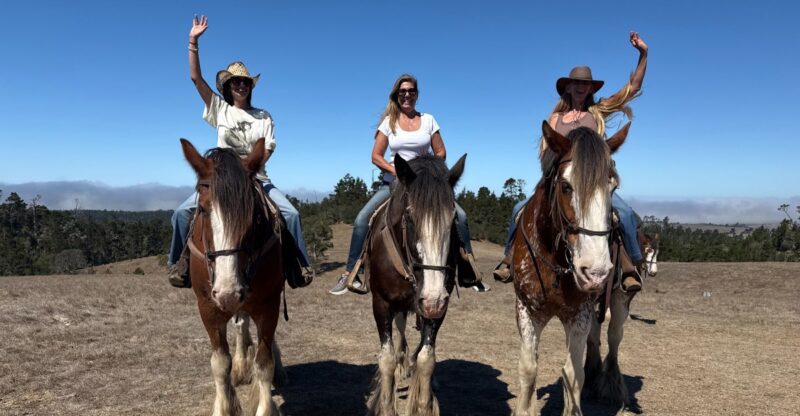 This California Ranch Lets You Ride 2,000-Pound Clydesdale Horses With Stunning Ocean Views