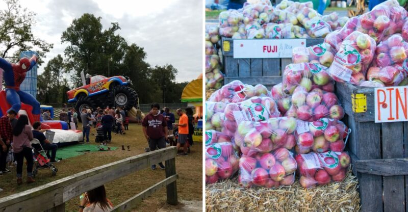 This Massive Georgia Apple Festival Takes Over A Mountain Town For Two October Weekends