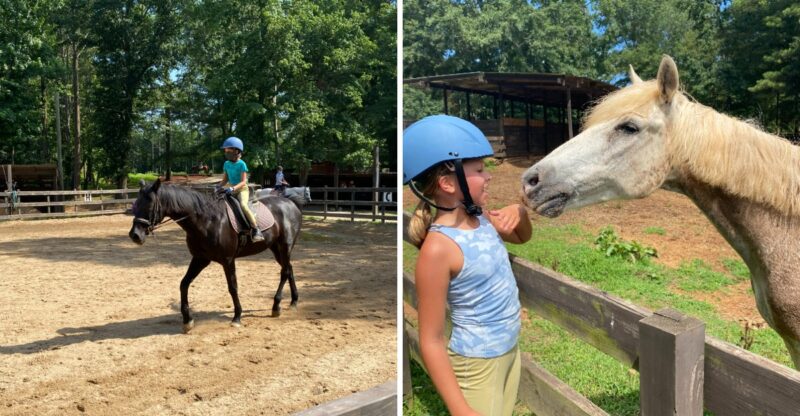 This Georgia Equestrian Center Lets You Brush, Tack Up, And Spend Time With Horses