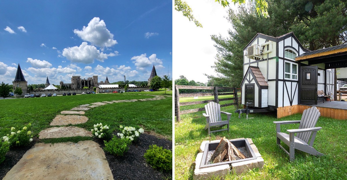 featured image ede49a0515bd e58e65ce1749 - Decor Hint