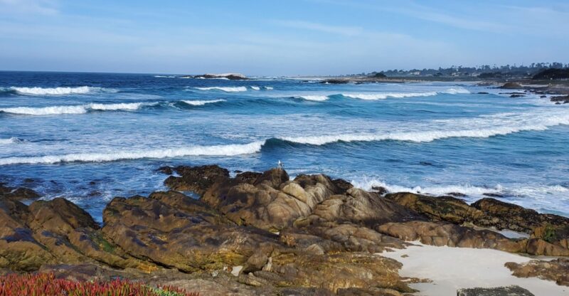 This Historic 17-Mile California Scenic Drive Still Offers Some Of The Most Breathtaking Coastal Views