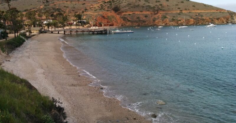 12 Things Not To Do On Catalina Island In California If You Want To Avoid Rookie Mistakes