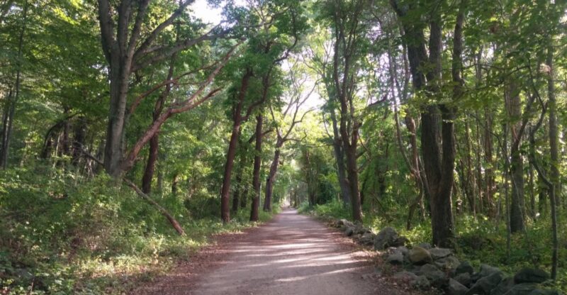 8 Easygoing Connecticut Walks That Feel Like A Mini Adventure
