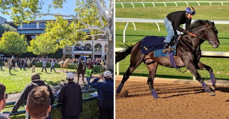 This Kentucky Attraction Is Free, And Somehow It Still Feels Like A VIP Experience